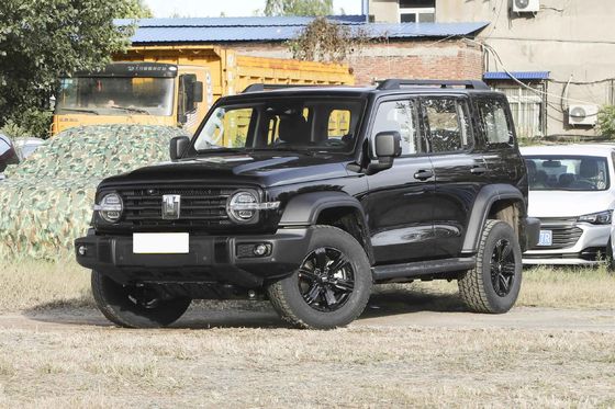  300 Young People Automatic Fuel Powered Car 5 Seats High Speed