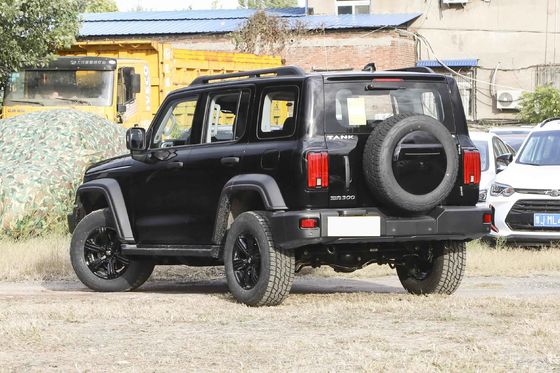  300 Young People Automatic Fuel Powered Car 5 Seats High Speed